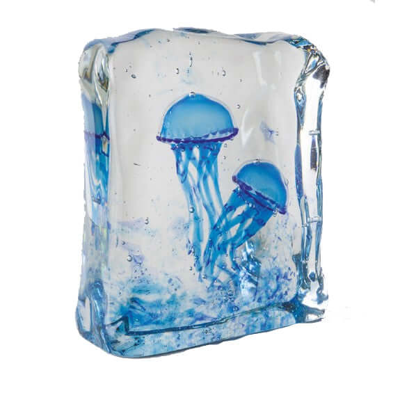 Aquarium Jellyfishes