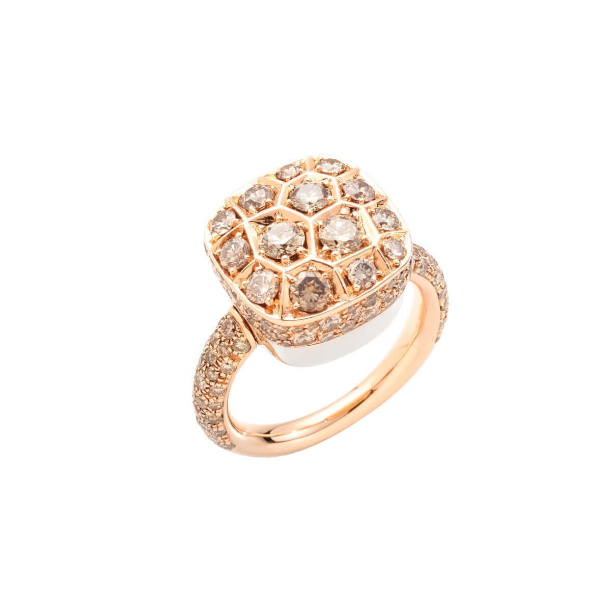 Brown Solitaire Absolute Nude Ring