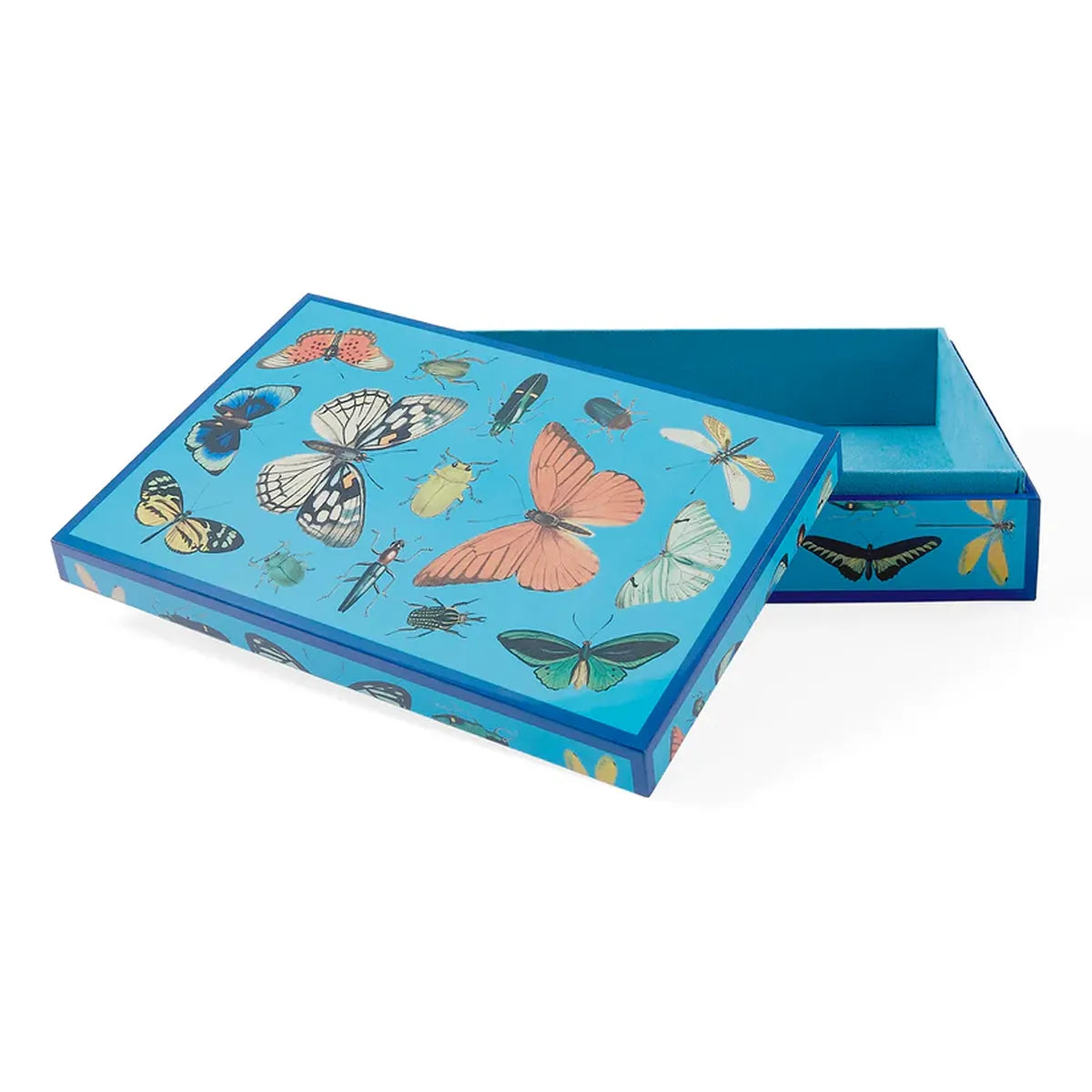 Scatola Grande Botanist